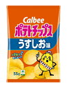 ★まとめ買い★ カルビー ポテトチップス うすしお味 55g ×16個【イージャパンモール】|詳細画像