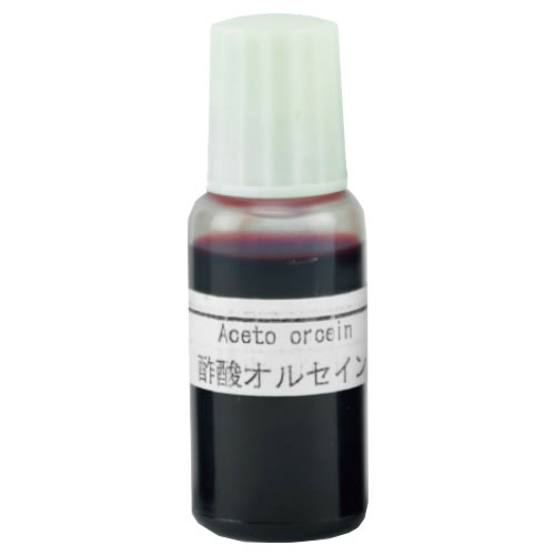 酢酸オルセイン10mL×1本【返品・交換・キャンセル不可】【イージャパンモール】