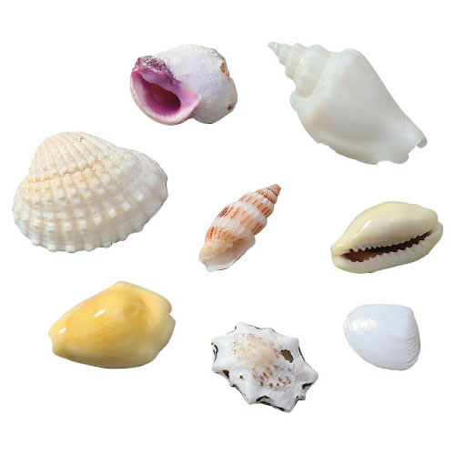 �ߥå�������������ʡ��򴹡�����󥻥��Բġۡڥ�������ѥ�⡼���