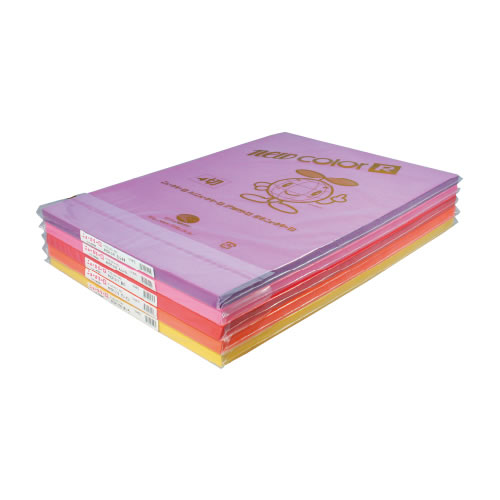 ニューカラー4切100枚サーモン【返品・交換・キャンセル不可】【イージャパンモール】