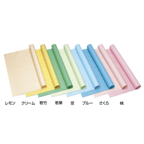 色模造紙中厚口　10枚　うす水【返品・交換・キャンセル不可】【イージャパンモール】