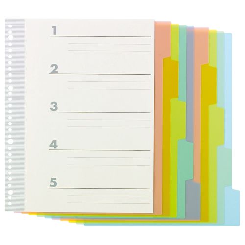 インデックス(PP)　A4タテ　2・4・30穴　5山2組　1パック