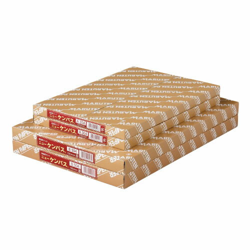 ケント紙ニューケンパス薄口B5　B305【返品・交換・キャンセル不可】【イージャパンモール】