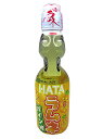 ハタ鉱泉(株)　瓶ラムネ　パイン味　200ml　×30本