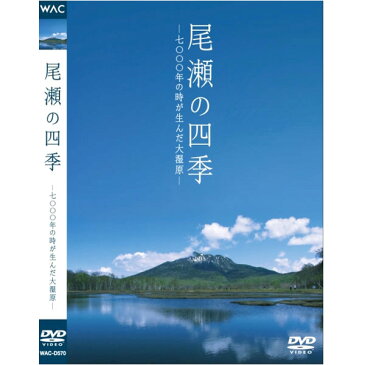 【追跡可能メール便選択可・但し代金引換は不可！】7千年の時が生んだ大湿原　尾瀬の四季　[DVD]WAC-D582