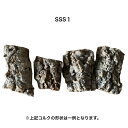 【cork-SSS1】バージンコルク コルク樹皮 SSSサイズ 縦15-20 横15-20 養生 板付 活着 ビバリウム レプタイル コウモリラン エアプランツ...