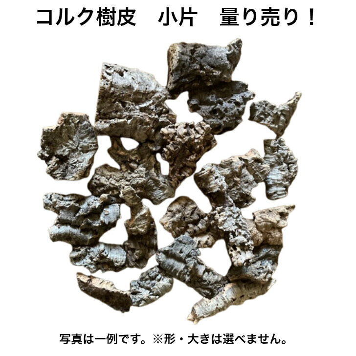 楽天市場】コルク樹皮の通販 楽天市場】コルク樹皮の通販