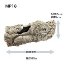 (MP18)バージンコルク コルク樹皮 シェルター 筒型 バズーカ Mサイズ 縦36cm 養生 板付 活着 ビバリウム レプタイル コウモリラン エアプラン...