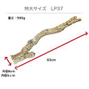 japan-lando2023:10000064のサンプル画像1