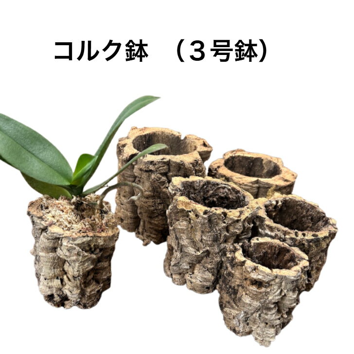 コルク鉢（3号鉢サイズ）