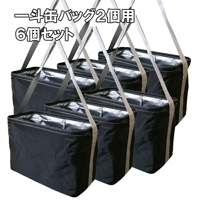 一斗缶バッグ2缶用 6個セット 荷揚げバッグ 18リットル缶用 塗料 溶剤 運搬 持ち手アイ型 吊り 強度 開口部ワイヤー ペンキ 塗装 シンナー 薄め液 油 建設 建築 工事 油性 水性 シリコン樹脂 バッグ 足場 ホイスト ワイヤー 玉掛 仮設 架設 インキ 化学溶剤 試薬 輸送