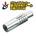 グリップアンカー GAタイプ 300個/箱 GA-40 スチール サンコーテクノ 壁つなぎ施工 ねじ径W1/2 全長50mm JCAA認証品 本体打ち込み式 イ...