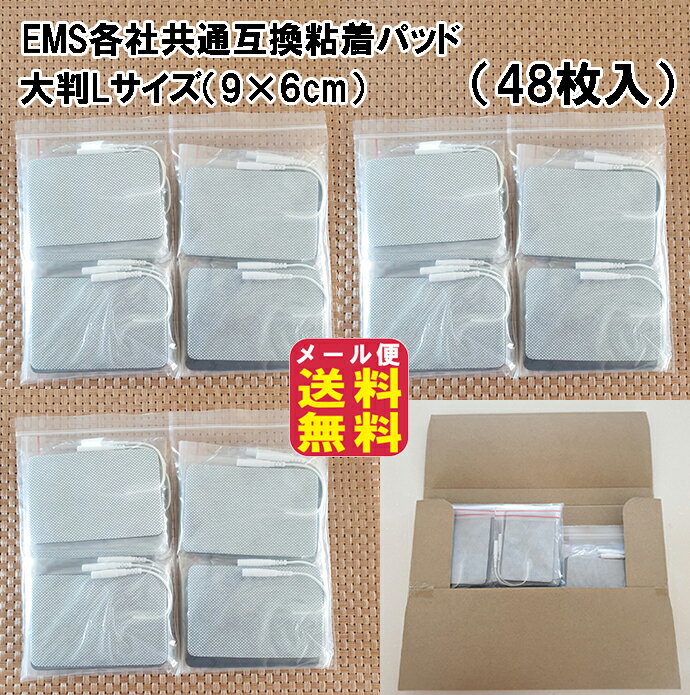 【EMS各社共通粘着パッド（48枚入）大判Lサイズ（9×6cm）】【メール便送料無料】【ポイント 2