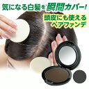 【薄毛も隠せる リタッチヘアファンデ】【メール便送料無料】【ポイント 2倍】ヘアファンデーション 薄毛隠し 白髪隠し ポンポン 頭皮 ファンデーション 椿油 美髪成分 パフ付き 鏡付き 水に強い 汗に強い 落ちにくい 髪 つや ボリュームアップ 頭皮ケア kkr