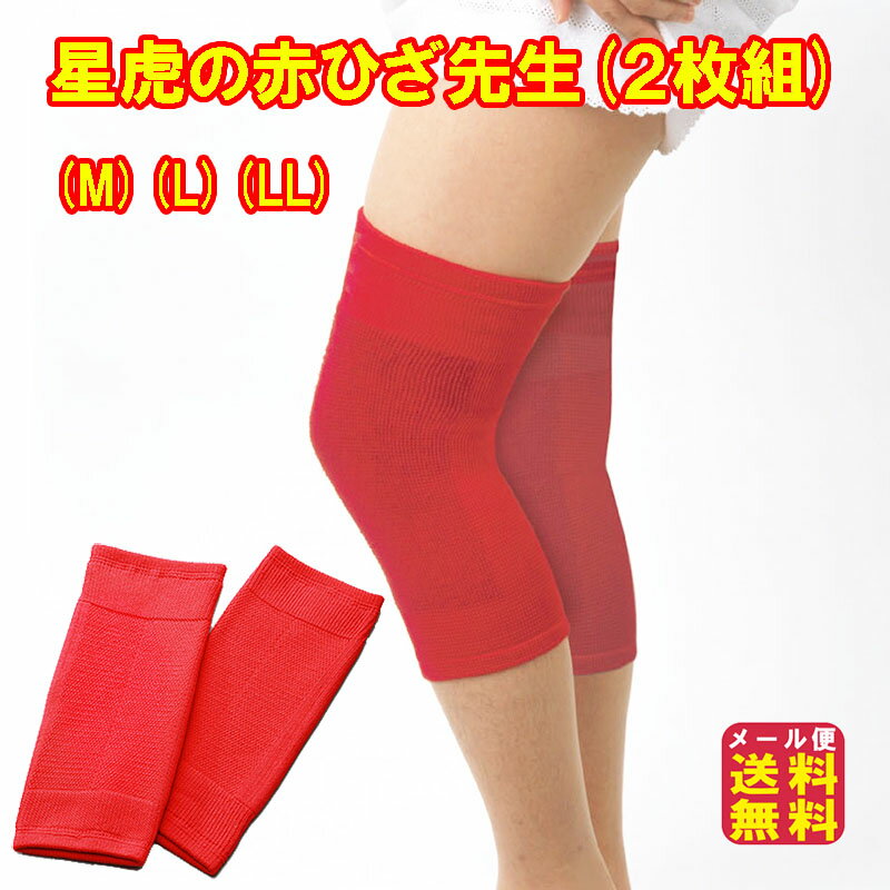 【星虎の赤ひざ先生(2枚組)(M)(L)(LL)�