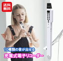 電子 リコーダー デジタルレコーダー ホワイト USB充電 ソプラノリコーダー【充電式電子リコーダー】【送料無料】【ポイント 2倍】電子リコーダー 管楽器 吹奏...