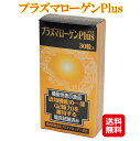 プラズマローゲン 知的栄養素 中高年 記憶 ぼけ 記憶 サプリ認知機能 記憶力 鶏由来プラズマローゲン ブレインフード 中高年向け サプリメント mam