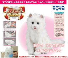 口 全能 アメリカ 猫 人形 動く Sozoku Center Jp 口 全能 アメリカ 猫 人形 動く Sozoku Center Jp