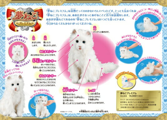 ポイント 倍 10倍 動く Mate ジャパンネットライフ 猫 猫 送料無料 本物の猫のしぐさや鳴き声を再現した癒やし系代理ペット イス チェア セガトイズ 送料無料 ぬいぐるみ 動く 夢ねこプレミアム 送料無料 ポイント 鳴いて 甘えてまるで本物の猫 夢ペット