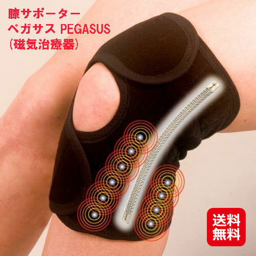 ナック ペガサス（磁気膝サポーター） L ブラック 7-6536-02 1個