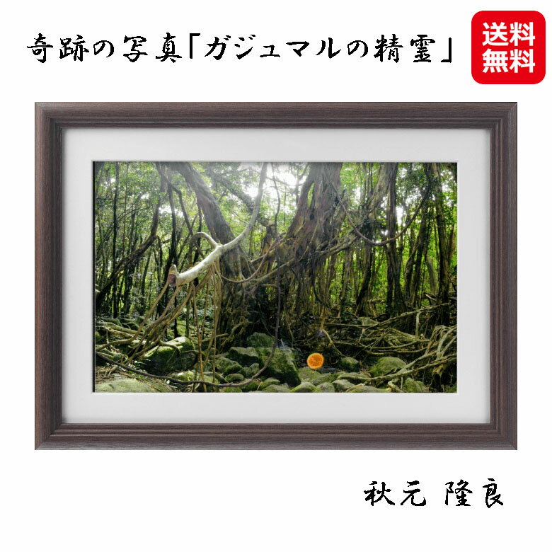 開運フォト 開運写真 秋元隆良 奇跡の写真 開運 幸運 送料無料【奇跡の写真「ガジュマルの精霊」】【送料無料】【ポイント2倍】スピリチュアルフォトグラファー 開運招福 厄除け 縁起 贈答品 銀塩写真 kik