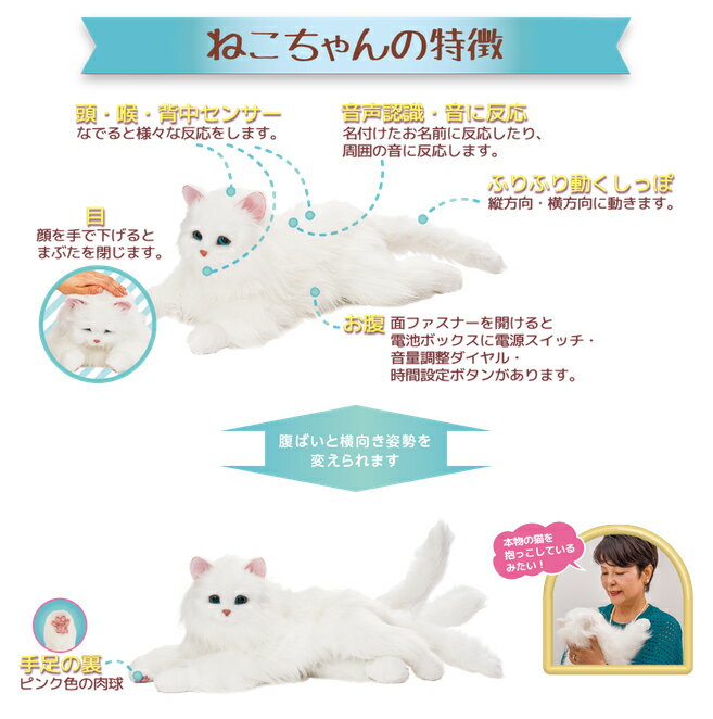 送料無料 猫 ぬいぐるみ 動く 猫型ロボット 送料無料 しっぽふりふり あまえんぼうねこちゃん 送料無料 ポイント 倍 10倍 電子ペット 鳴いて 甘えてまるで本物の猫 ネコ 猫 ロボット Dap 人気トレンド Nepalbreweries Com 送料無料 猫 ぬいぐるみ 動く 猫型ロボット 送料無料 しっぽふりふり あまえんぼうねこちゃん 送料無料 ポイント 倍 10倍 電子ペット 鳴いて 甘えてまるで本物の猫 ネコ 猫 ロボット Dap 人気トレンド Nepalbreweries Com