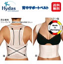 猫背矯正ベルト 姿勢矯正ベルト 背筋矯正グッズ【Hydas 背中サポートベルト】【送料無料】【ポイント 2倍】姿勢からくる首 肩 腰の痛みに。正しい姿勢を目指そう！猫背対策 矯正 たすき掛け ベルト 中山式 腰痛 美姿勢 脇痛くない dap