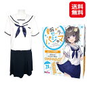 【夏服セーラーパジャマ おとこの娘用(2Lサイズ)】【送料無料】【ポイント 2倍】タマトイズ 男の娘 コスプレ セーラー服 夏服 パジャマ ワンピース 半袖 ゆ...