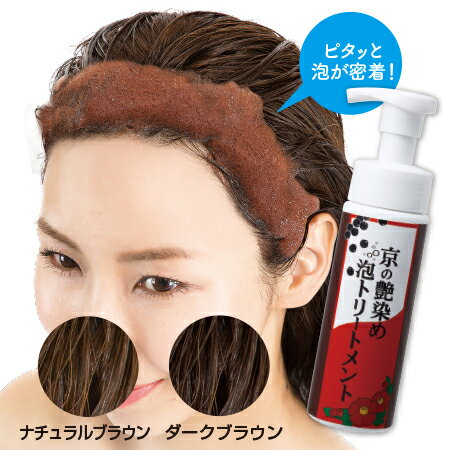 白髪染め トリートメント 黒大豆 泡染め 生え際 【京の艶染め泡トリートメント】【ポイント 倍〜10倍】生え際に垂れずにぴったり密着する泡染めヘアトリートメント!垂れない ヘアカラー pd