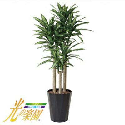限定製作 人工観葉植物 光触媒 人工植物 造花 抗菌 消臭 光の楽園 幸福の木1 8 ポイント 倍 10倍 光触媒人工観葉植物で 快適さとやすらぎの空間造りをお手伝い Dt Formis Si 限定製作 人工観葉植物 光触媒 人工植物 造花 抗菌 消臭 光の楽園 幸福の木1 8 ポイント 倍 10倍 光触媒人工観葉植物で 快適さとやすらぎの空間造りをお手伝い Dt Formis Si