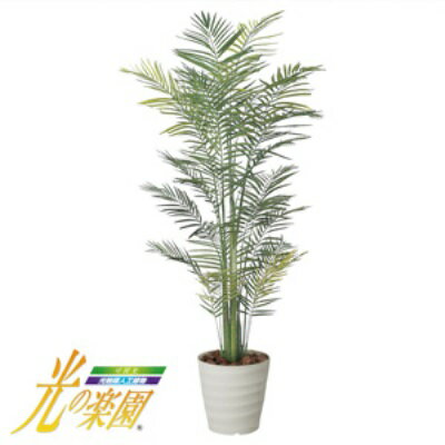 年最新海外 人工観葉植物 光触媒 人工植物 造花 抗菌 消臭 光の楽園 トロピカルアレカパーム1 8 ポイント 倍 10倍 光触媒人工観葉植物で 快適さとやすらぎの空間造りをお手伝い Ctwa Org Tw 年最新海外 人工観葉植物 光触媒 人工植物 造花 抗菌 消臭 光の楽園 トロピカルアレカパーム1 8 ポイント 倍 10倍 光触媒人工観葉植物で 快適さとやすらぎの空間造りをお手伝い Ctwa Org Tw