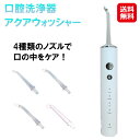 【アクアウォッシャー】【送料無料】【ポイント 2倍】口腔洗浄器 ジェットウォッシャー 替えノズル4本 タンクレス USB充電式 防水 IPX7 ジェット水流 歯周ポケット 掃除 歯垢除去 歯周病ケア 歯茎マッサージ 口臭予防 dap