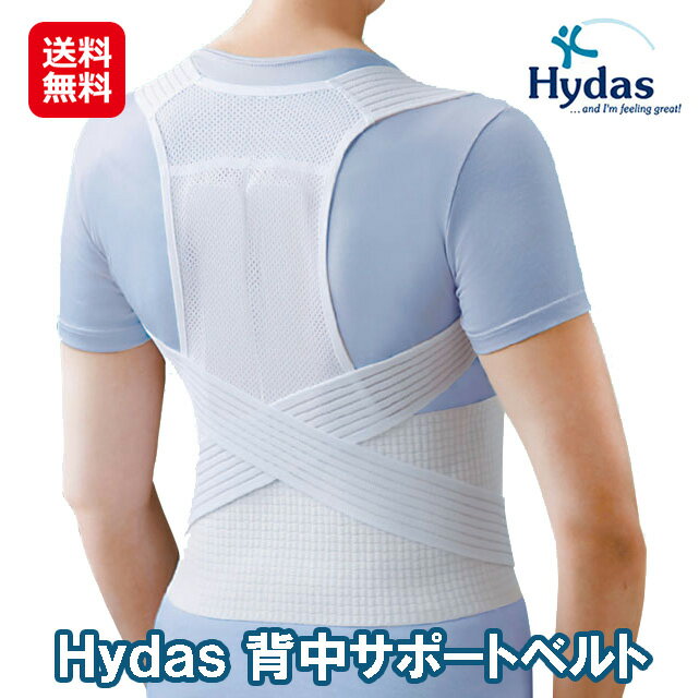 Hydas 背中サポートベルト 【送料無料】【ポイント 2倍～10倍】猫背矯正ベルト 姿勢矯正ベルト
