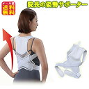 猫背 矯正 姿勢サポーター カイロ ポケット ベルト 調節可能【院長の姿勢サポーター】【メール便送料無料】【ポイント 2倍】姿勢補正 面ファスナー マジックテー...