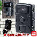 数量限定価格【赤外線無人撮影カメラ(SDカード32GB付き)】【送料無料】【ポイント 2倍】防犯カメラ 録画機能付き 赤外線 壁 ベルト 屋外 家庭用 持ち運び トレイルカメラ 自宅 監視 カメラ 人感センサー ファミラ dap