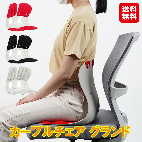 【カーブルチェア グランド】【送料無料】【ポイント 2倍】姿勢サポートチェア 座椅子 姿勢矯正 骨盤矯正 背筋が伸びる 椅子 クッション 腰の負担軽減 人間工学 チェア 持ち手付き 持ち運び 猫背 姿勢改善 グッズ 長時間 デスクワーク 勉強 腰痛予防 dap