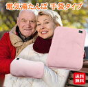 湯たんぽ 充電式 ゆたんぽ 手袋タイプ usb 電気湯たんぽ【電気湯たんぽ 手袋タイプ DY-T01】【送料無料】【ポイント 倍】あったかグッズ 洗える 水洗い可能 スマホ充電器付き 温度調整 3段階 キヨラカ dap(2)
