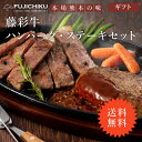 藤彩牛 サーロイン ステーキ ハンバーグ 熊本 霜降り 冷凍【フジチク 藤彩牛ハンバーグ・ステーキセット】【送料無料】【ポイント 倍〜11倍】藤彩牛サーロインス...