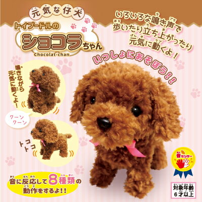 犬 プードル ぬいぐるみ 動く しゃべる 癒しグッズ 送料無料【元気な仔犬　トイプードルのショコラちゃん】【送料無料】【ポイント 倍】かわいく鳴きながら歩いたり色々な動きをする元気なトイプードル！ sl