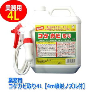 カビ取り コケ取り スプレー 壁 墓石 洗剤 除菌 コケ カビ 除去【コケカビ取り 4L】【送料無料】【ポイント 2倍】建造物についた美観を損なう青ゴケを簡単除去! is spc