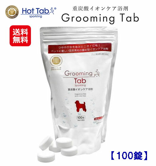̸åڥå   ú ڥå  ۥåȥ hot tabڥ롼ߥ (100)̵ۡۡڥ...