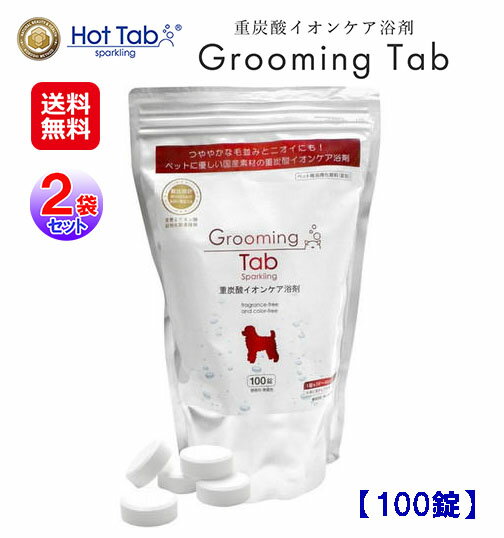 ڥå   ú ڥå  ۥåȥ hot tabڥ롼ߥ󥰡(100)(2ޥå)̵ۡ...