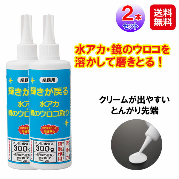 【業務用 輝きが戻る水アカ・鏡のウロコ取り 2本組】【送料無料】【ポイント 2倍】ハウスクリーニング 業務用洗剤 水垢取り うろこが取れる シンク 水垢 落とし 浴室 お風呂 鏡 ガラス ウロコ取り 水垢クリーナー 水垢洗剤 キッチン 掃除グッズ 大掃除 sd