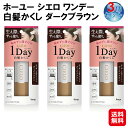 【ホーユー シエロ ワンデー白髪かくし ダークブラウン 9ml(3個セット)】【送料無料】【ポイント 2倍】ワンデー 白髪隠し クシ型 白髪 マーカー 1日だけ染める お出かけ前 速乾 無添加 ヘアカラー 白髪染め 生え際 白髪かくし 1DAY sd
