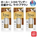 【ホーユー シエロ ワンデー白髪かくし ライトブラウン 9ml(3個セット)】【送料無料】【ポイント 2倍】ワンデー 白髪隠し クシ型 白髪 マーカー 1日だけ染める お出かけ前 速乾 無添加 ヘアカラー 白髪染め 生え際 白髪かくし 1DAY sd