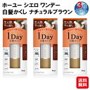 【ホーユー シエロ ワンデー白髪かくし ナチュラルブラウン 9ml(3個セット)】【送料無料】【ポイント 2倍】ワンデー 白髪隠し クシ型 白髪 マーカー 1日だけ染める お出かけ前 速乾 無添加 ヘアカラー 白髪染め 生え際 白髪かくし 1DAY sd