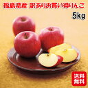 【福島県産 訳ありお買い得りんご 5kg】【送料無料】【ポイント 2倍】福島 りんご ふじ 5キロ 訳アリ サンふじりんご リンゴ サンふじ 家庭用 林檎 フルーツ 果物 訳あり 食品 甘い 酸味 歯ごたえ シャキシャキ 国産 sd