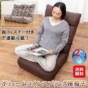 【ボリュームコイルスプリング座椅子(2個セット)】【送料無料】【ポイント 2倍】コイルスプリング 座椅子 ポケットコイル 体圧分散 リクライニング 頭部14段階 背部5段階 厚さ22cm 座り心地抜群 連結 2人掛けソファ 折りたたみ コンパクト収納 ブラウン ゴブラン sd