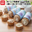 【おいしい常備食「パンの缶詰」4種×3缶(計12缶) 5年保存】【送料無料】【ポイント 2倍】パン 缶詰 12缶 美味しい チョコ ミルク ブルーベリー メープル 国産 非常食 防災食 保存食 5年 長期保存 備蓄品 防災グッズ 防災用品 sd