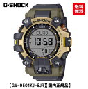 【カシオ Gショック MASTER OF G-LAND MUDMAN (GW-9501KJ-8JR)】【送料無料】【ポイント 2倍】CASIO 電波ソーラー EARTHWATCH シマフクロウ 腕時計 時計 ウォッチ メンズ ブラック 樹脂バンド 正規販売店 tas